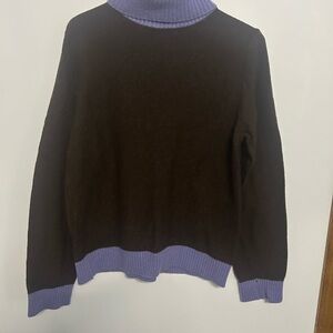 Purple and Brown Turtleneck Sweater
